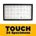 Mini Museum - Fifth Edition (TOUCH - 34 Specimens)