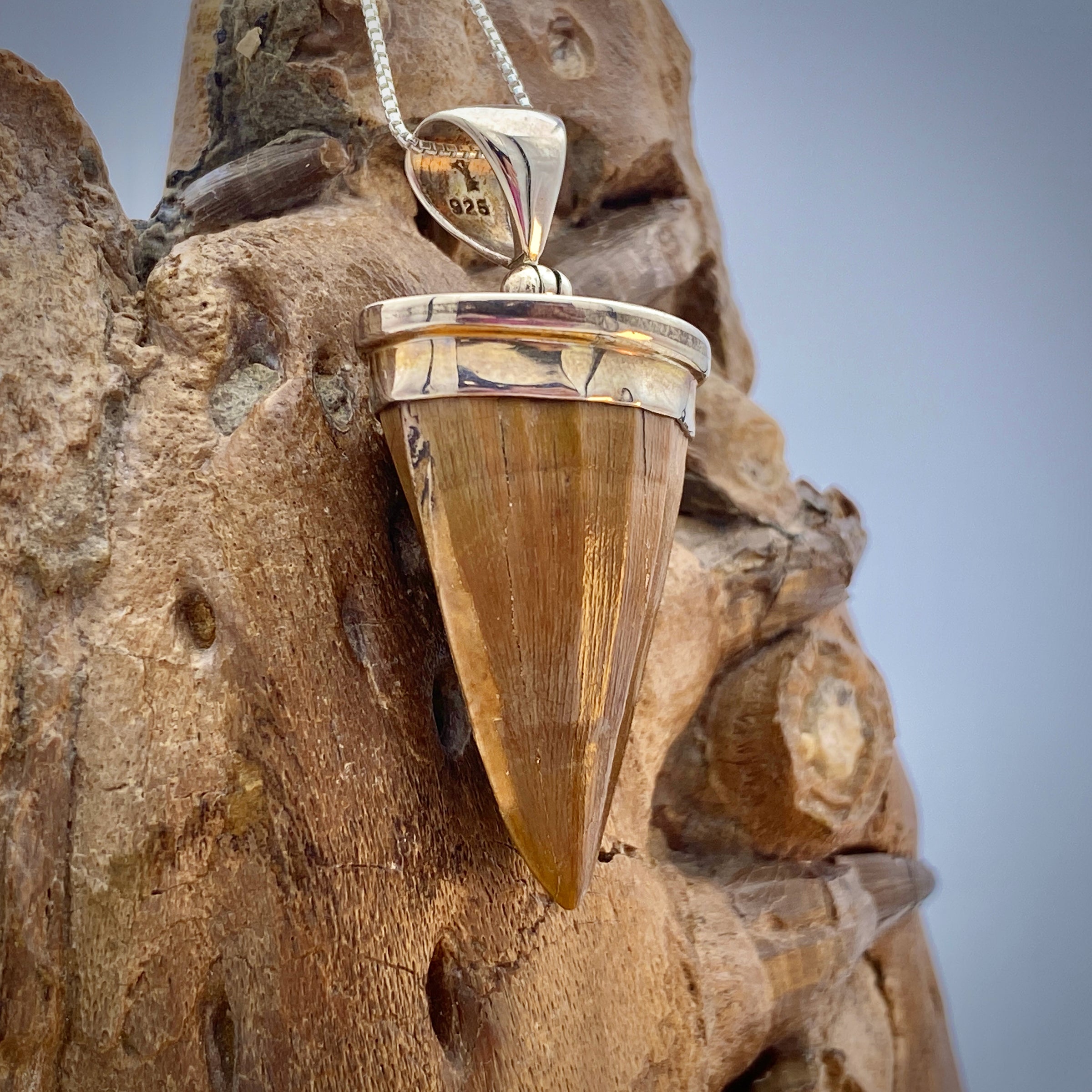 Mosasaur Tooth Jewelry