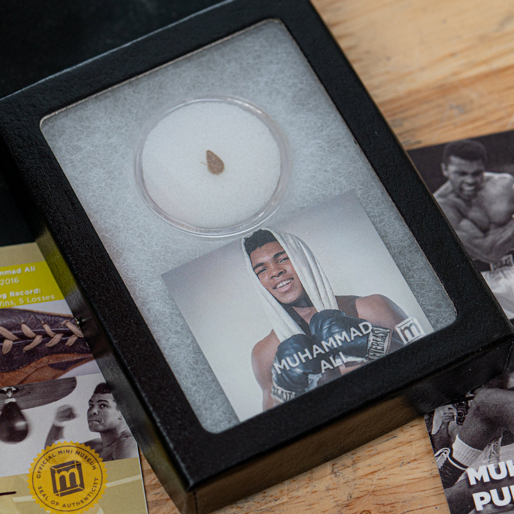 The Fight of the Century Boxing Bundle