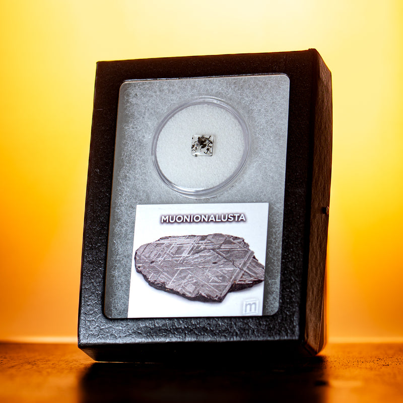 Muonionalusta Meteorite - Extraterrestrial Metal Fragments