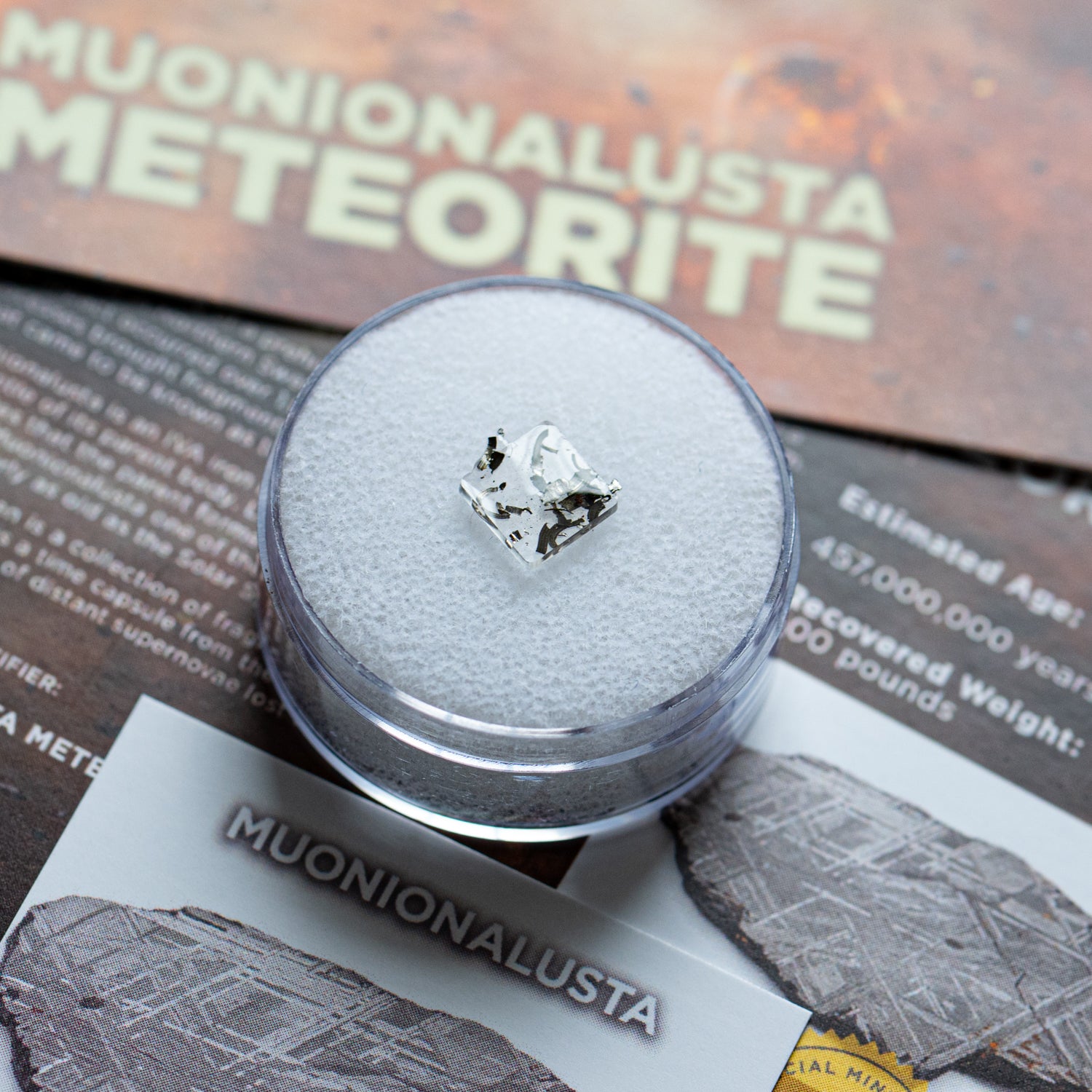 隕石 ？ Muonionalusta Meteorite もろいです。 Muonionalusta Meteorite - Extraterrestrial Metal Fragments