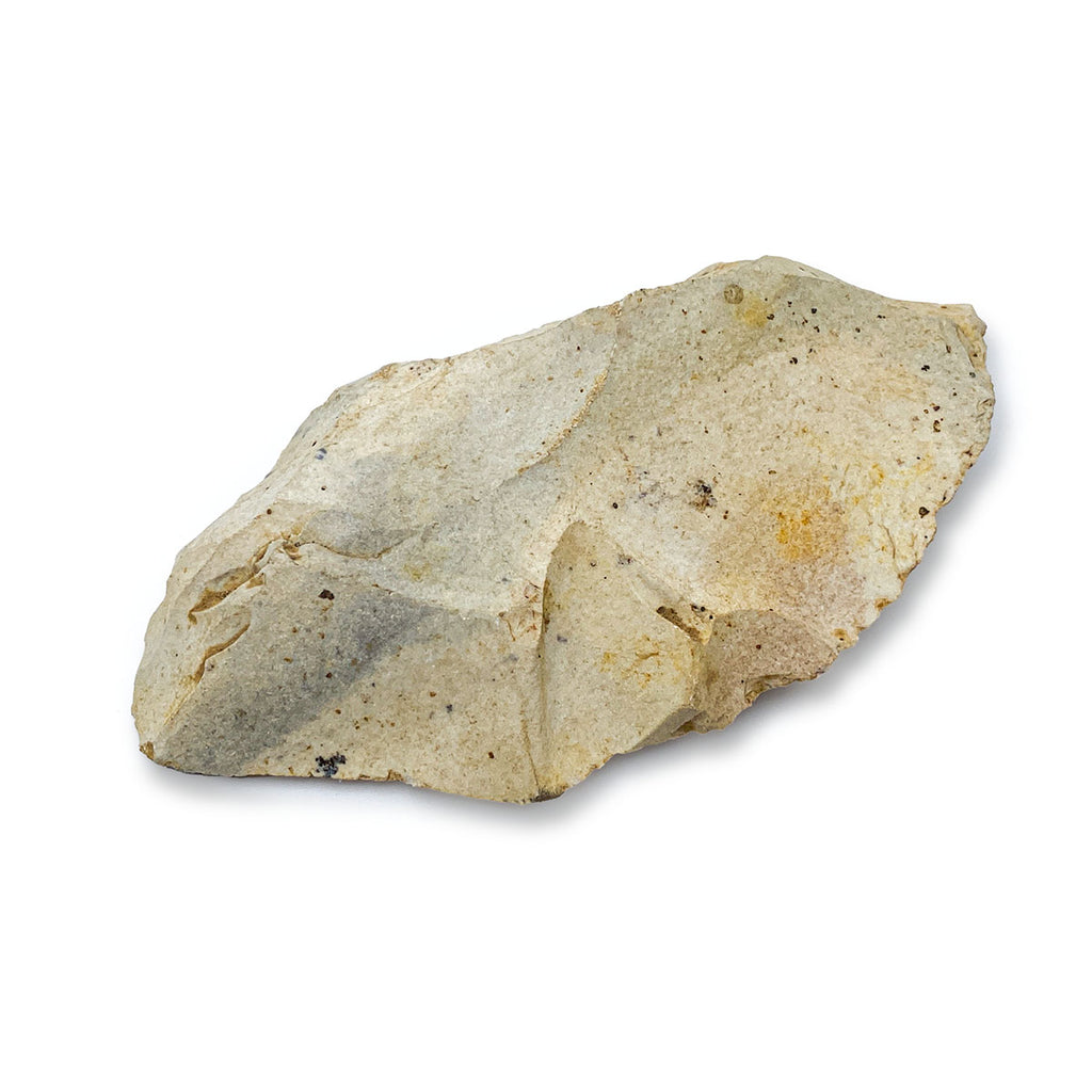 Neanderthal Classic Riker Box Stone Tool Fragment Collectible Specimen ...
