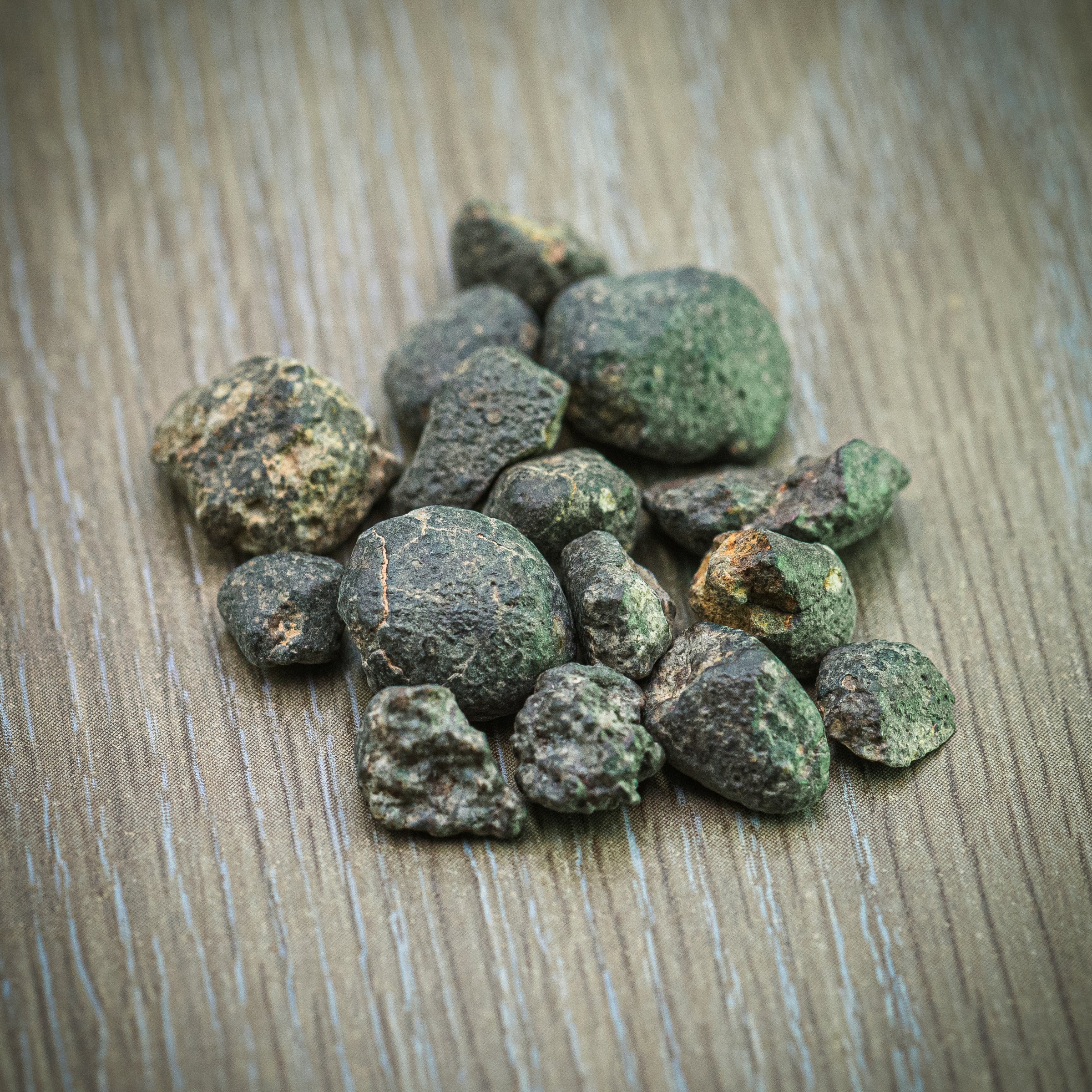 置物 pluie PIEDRA green 置物 pluie PIEDRA green 置物 pluie PIEDRA green Rain Forest