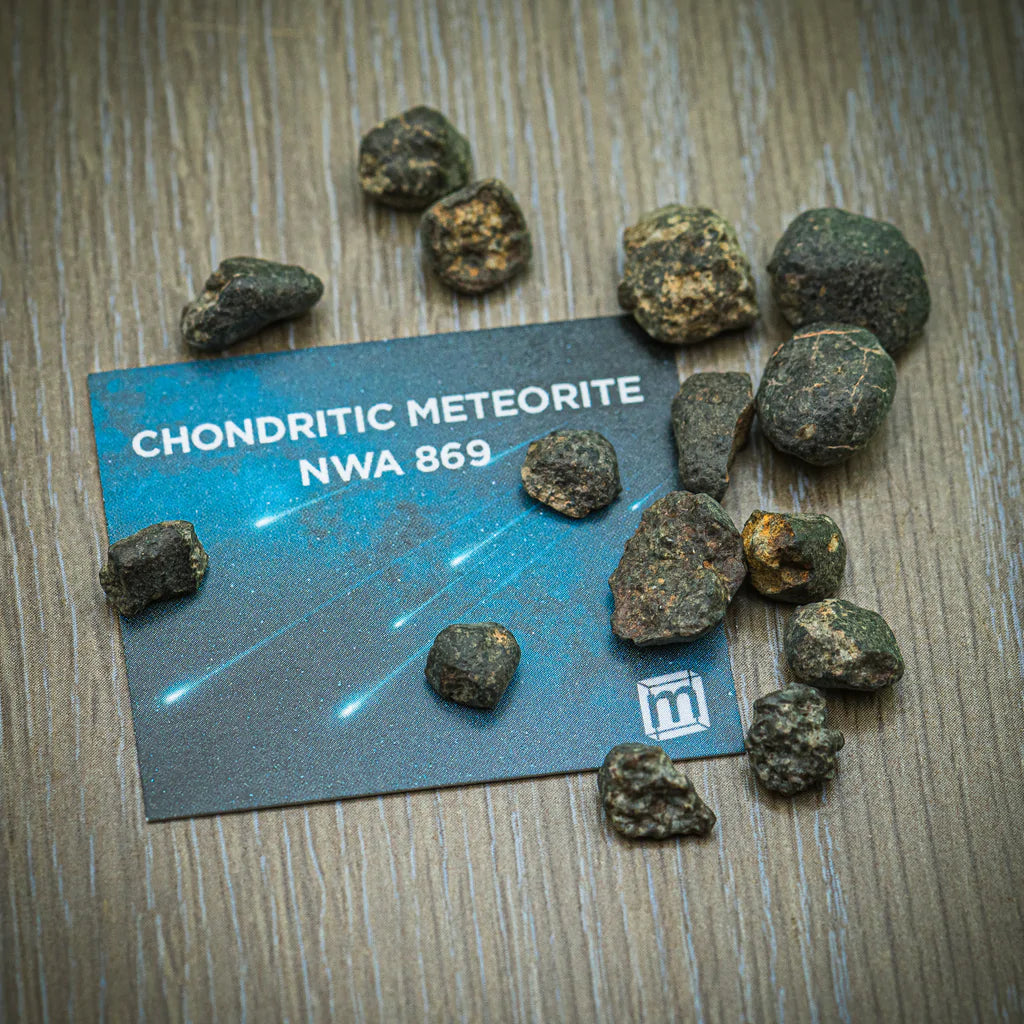 Chondritic Meteorite NWA 869 Collectible Specimen, Includes