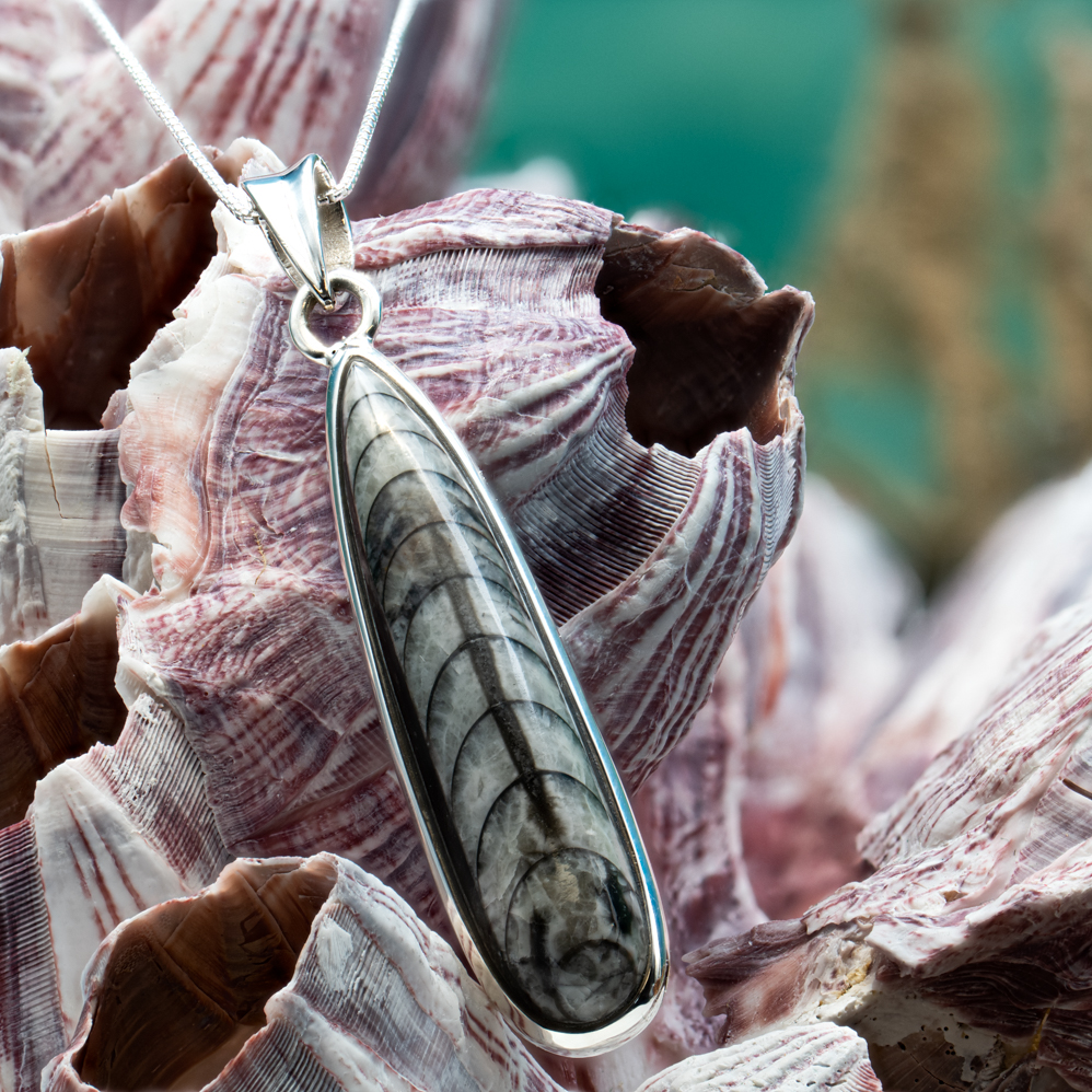 Orthoceras pendant 2025