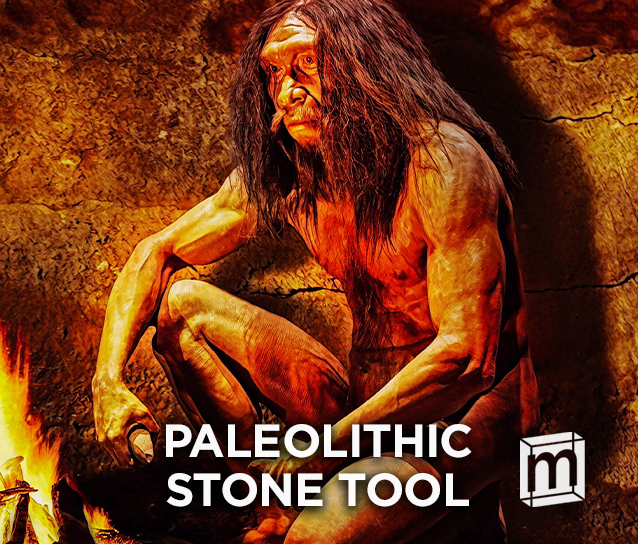 Stone Age chopper tool - Stock Image - C025/4398 - Science Photo Library