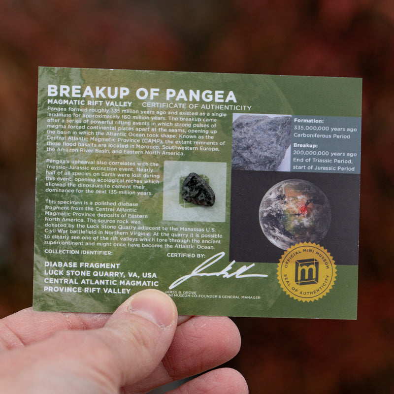 Breakup of Pangea - Display Card