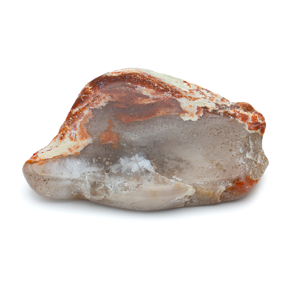 Polished Dinosaur Dung (Coprolite) Slice