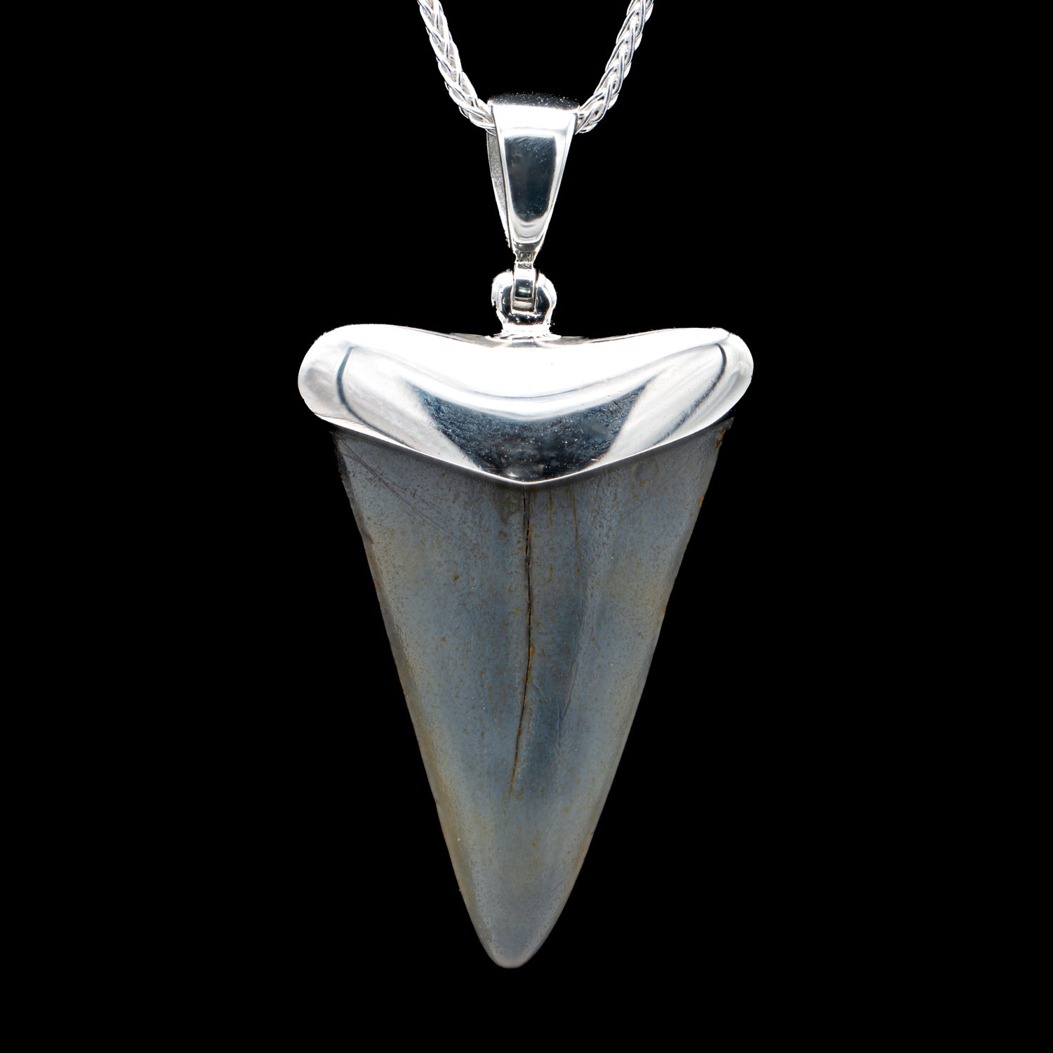 鮫歯化石（fossil shark tooth）シルバーペンダントトップ prehistoric-fossil-shark-tooth