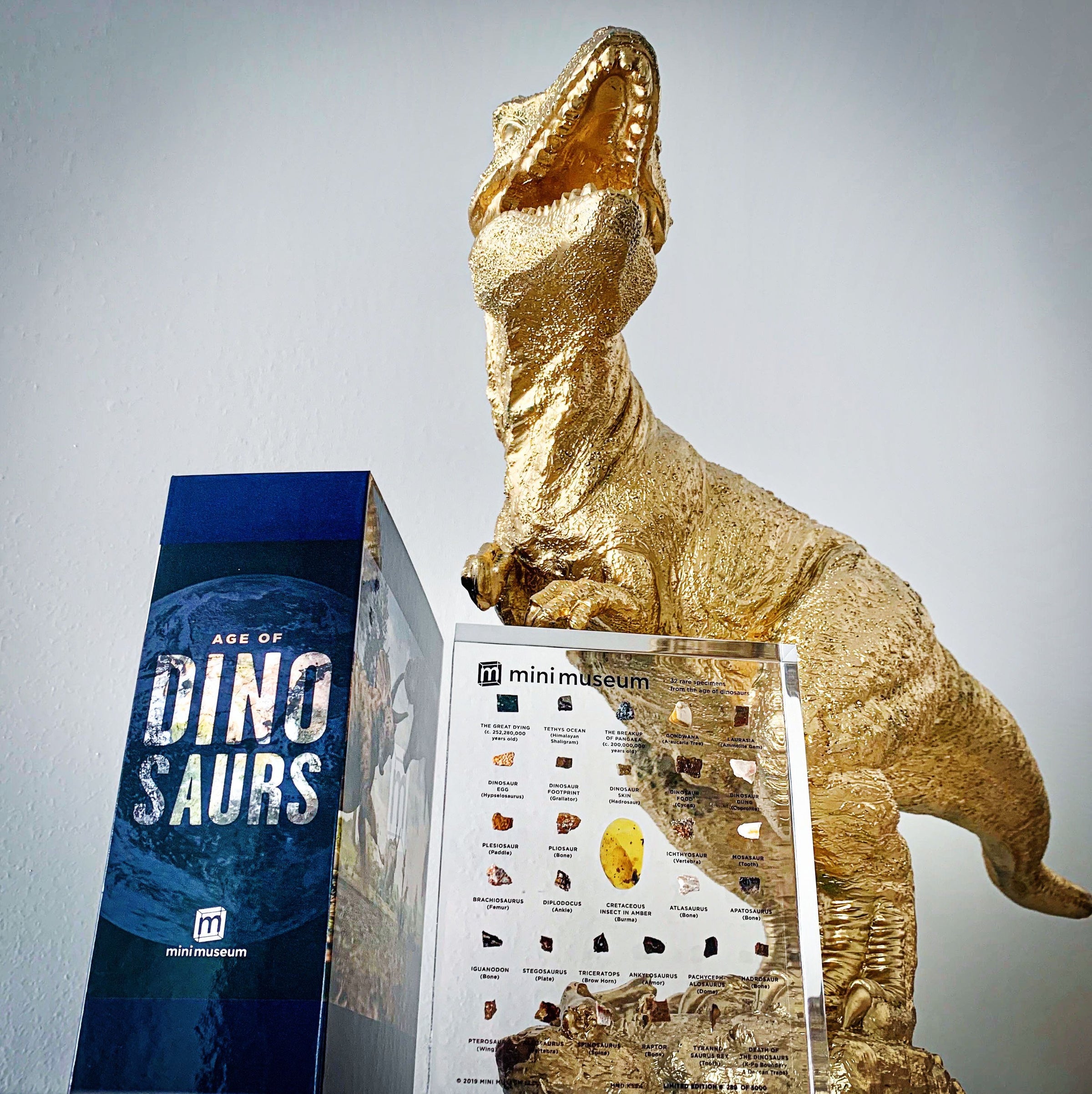 Age Of Dinosaurs (Large 32 Specimens) Educational Display - Mini