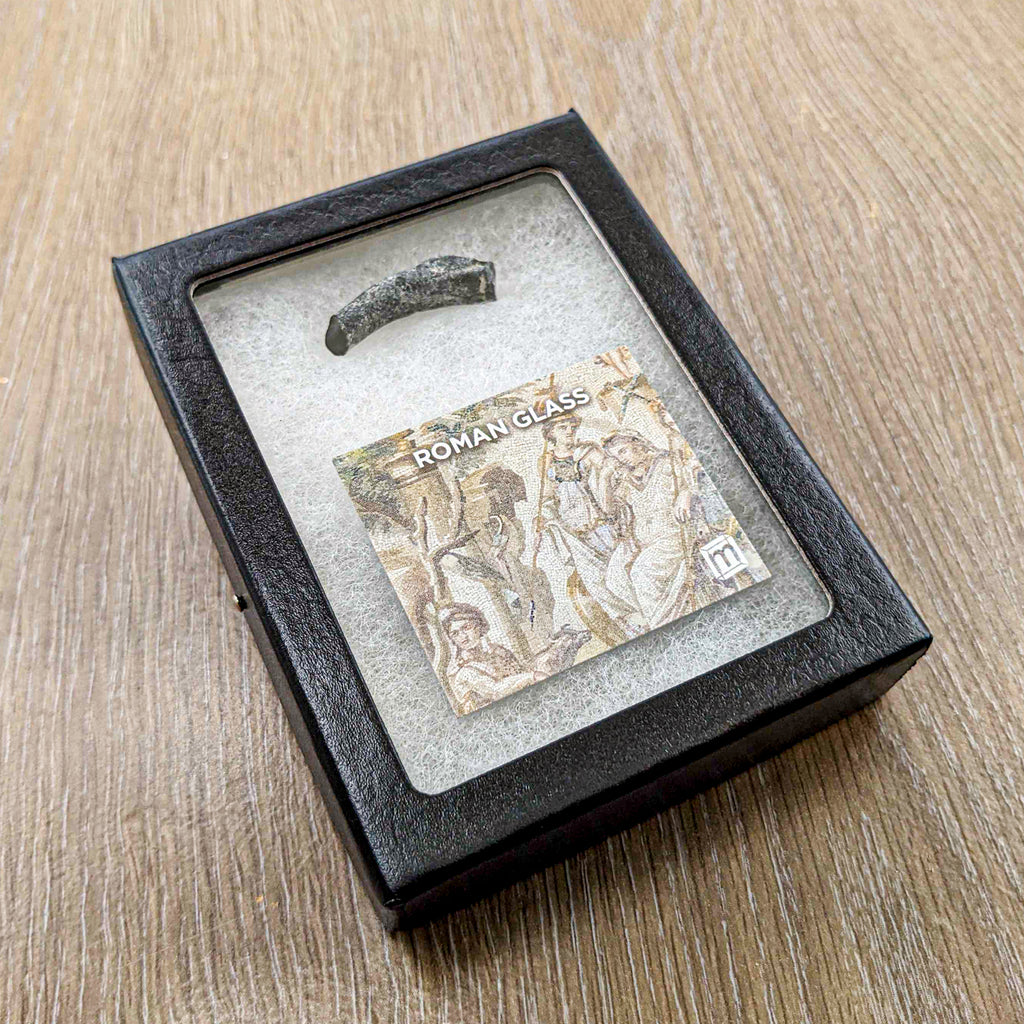 Roman Glass Bracelet Fragment - Classic Riker Display Case