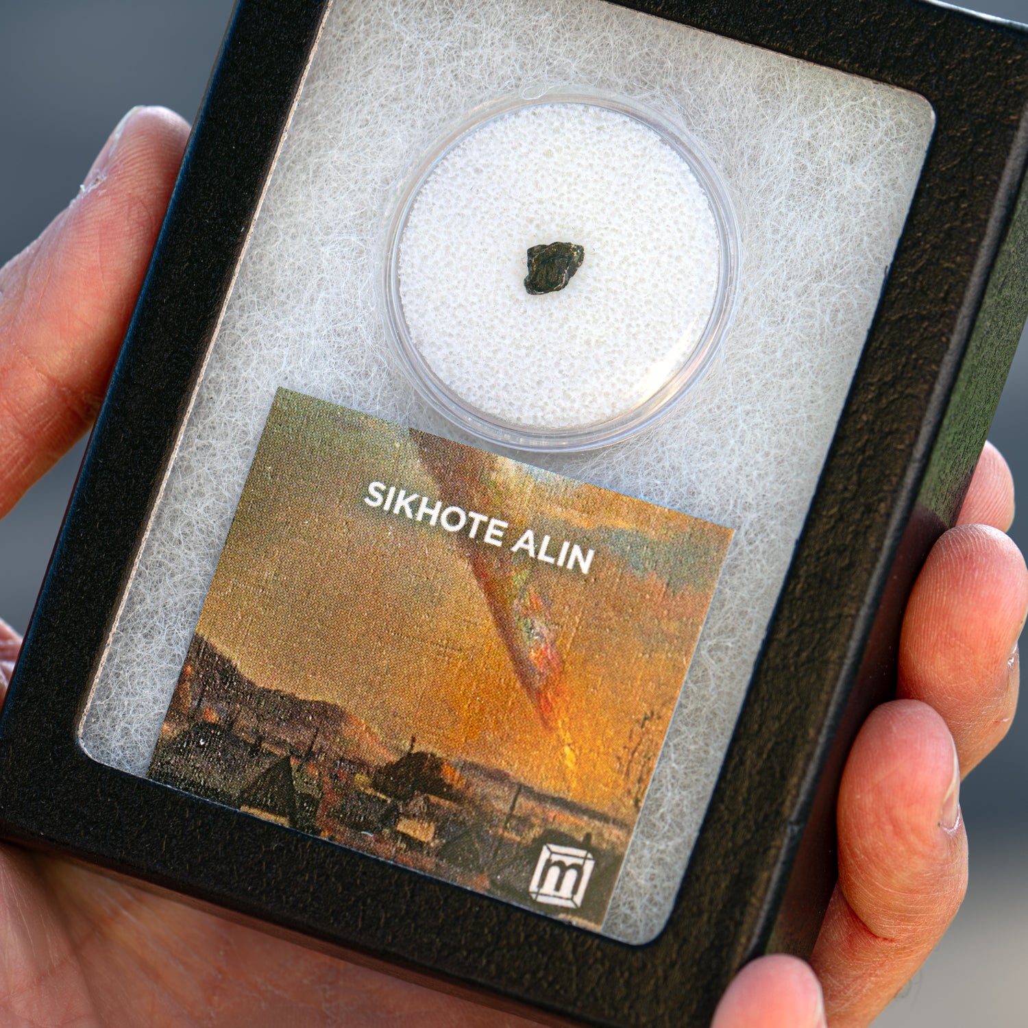 Sikhote Alin Meteorite Collectible Specimen, Includes Display Case