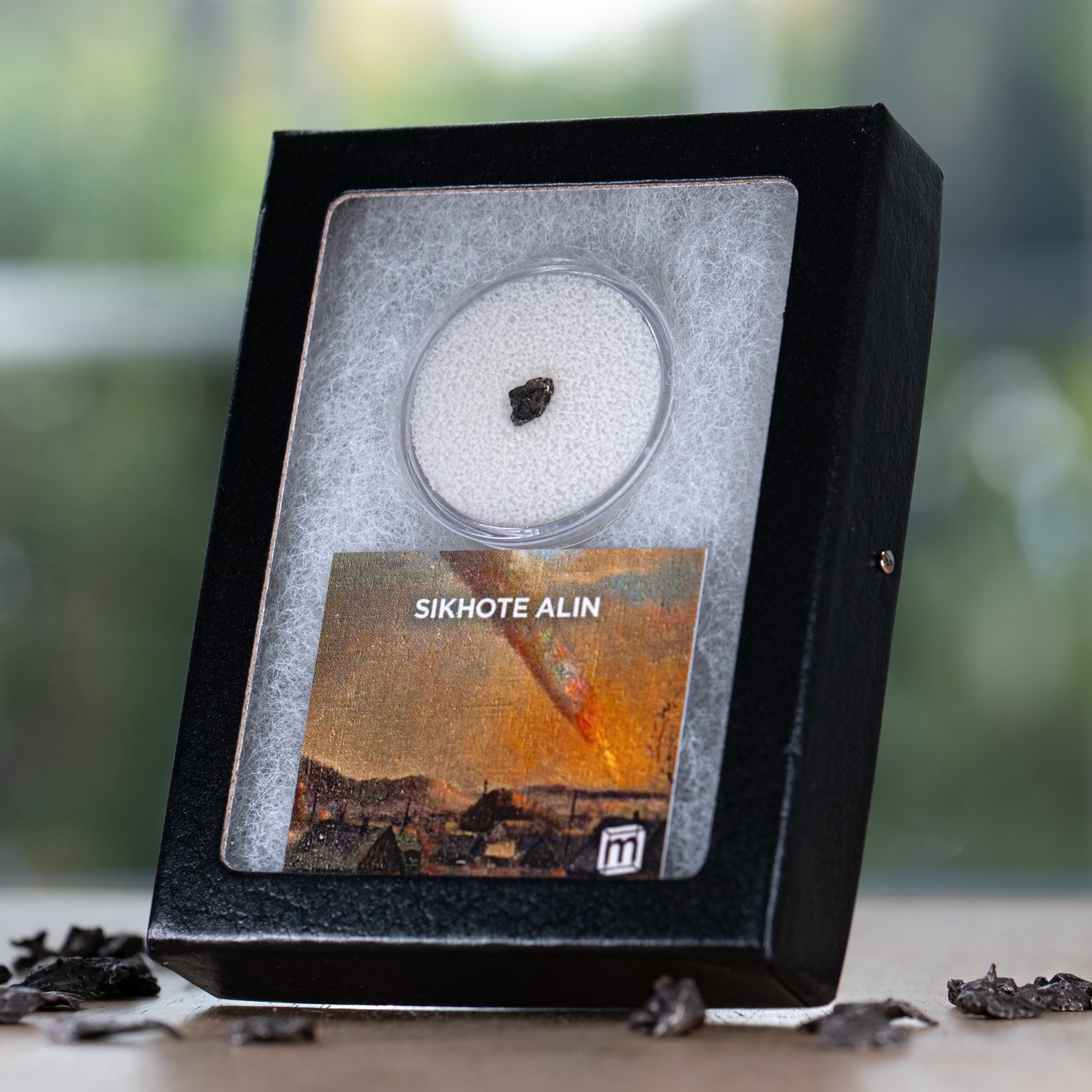 Sikhote Alin Meteorite Collectible Specimen, Includes Display Case