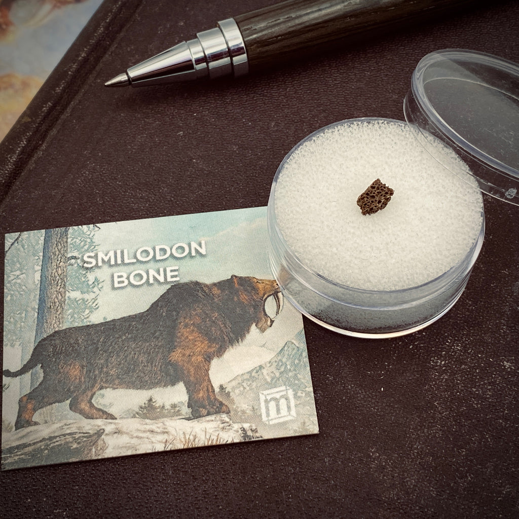 Ice Age Wonders Bundle