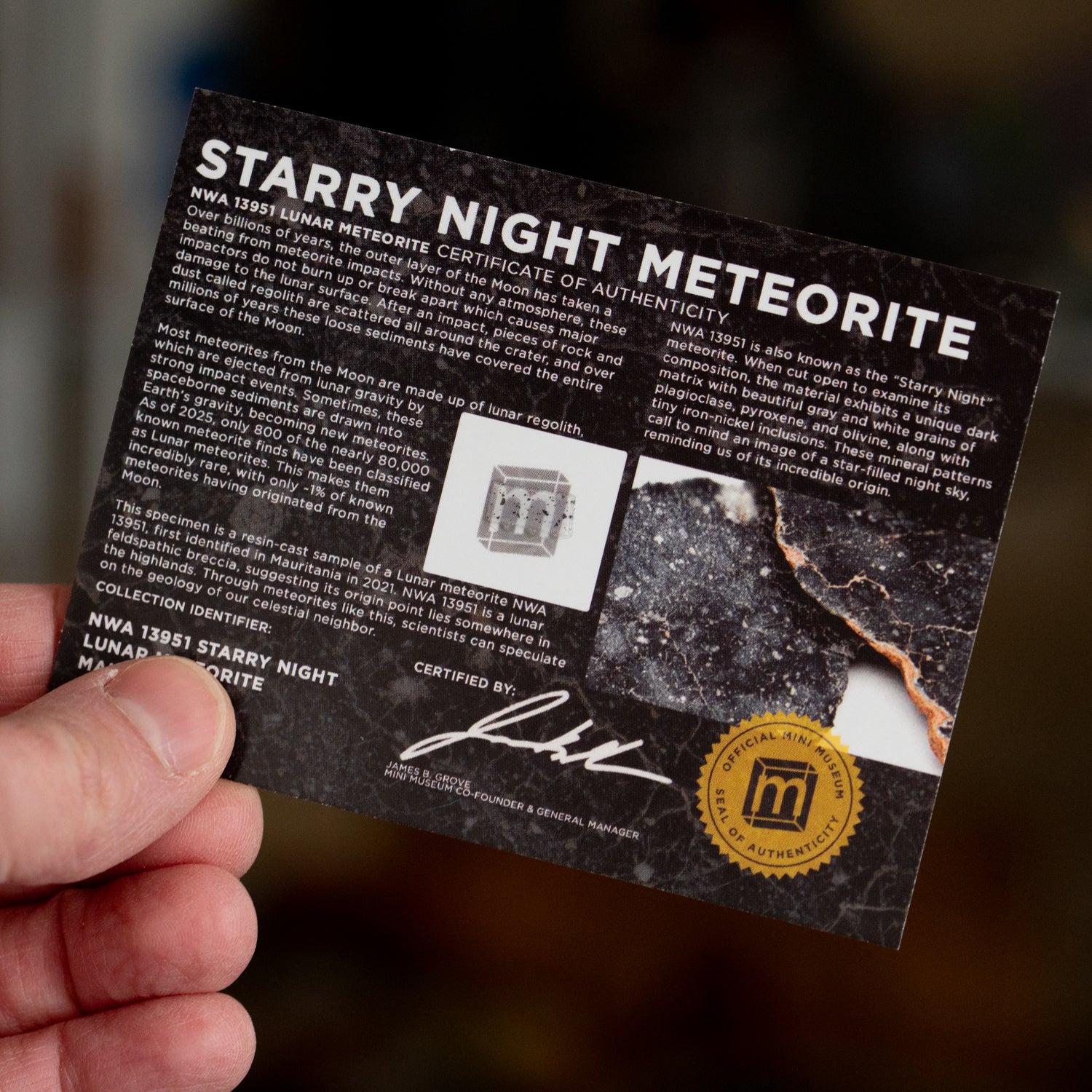 月隕石 NWA13951 Starry Night Lunar starry-night-meteorite-card-
