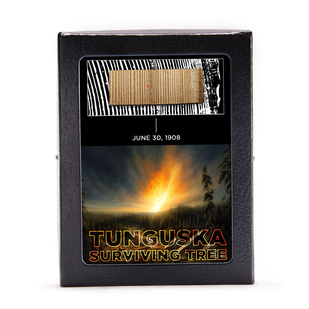 Tunguska Event - Surviving Tree
