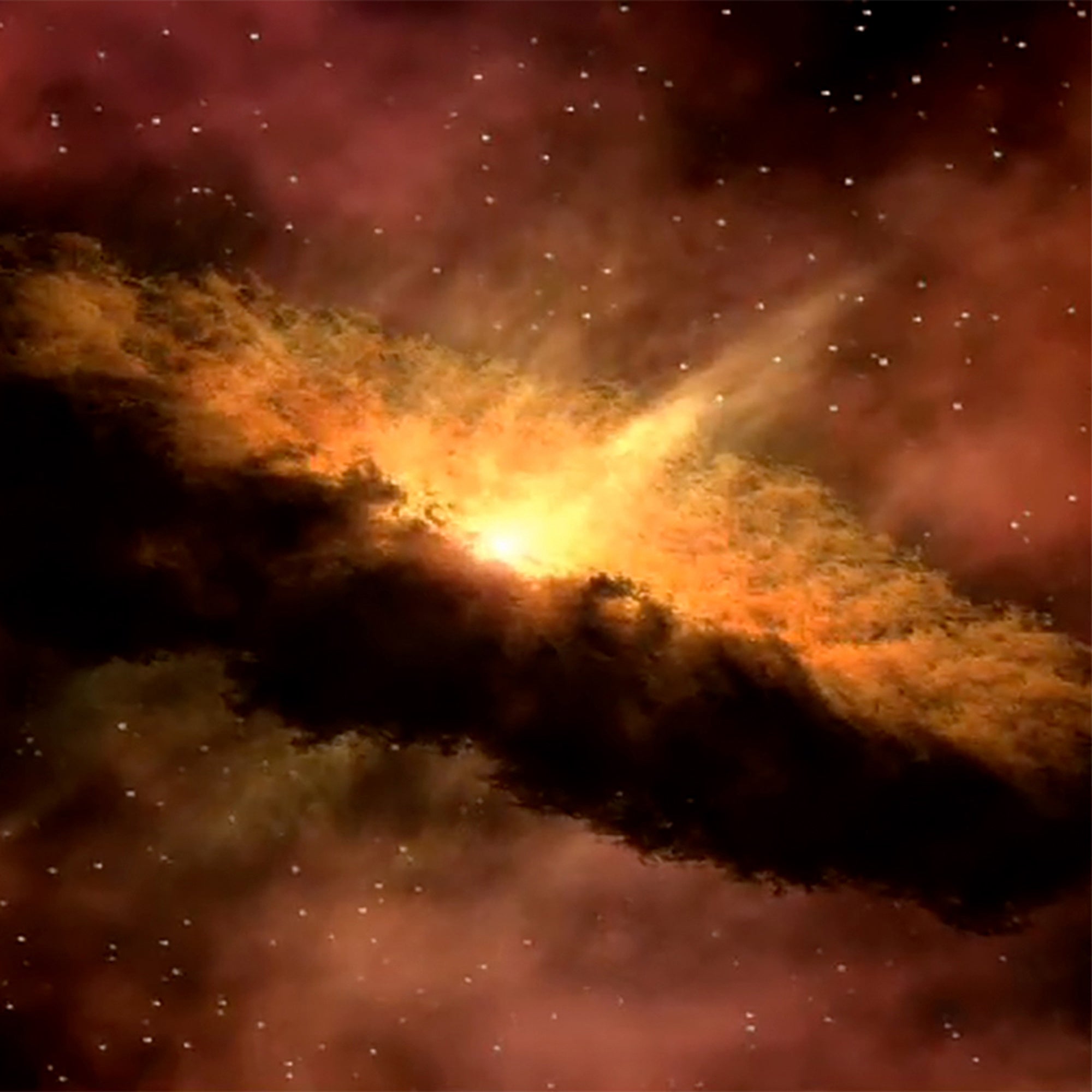 We are Made of Stardust