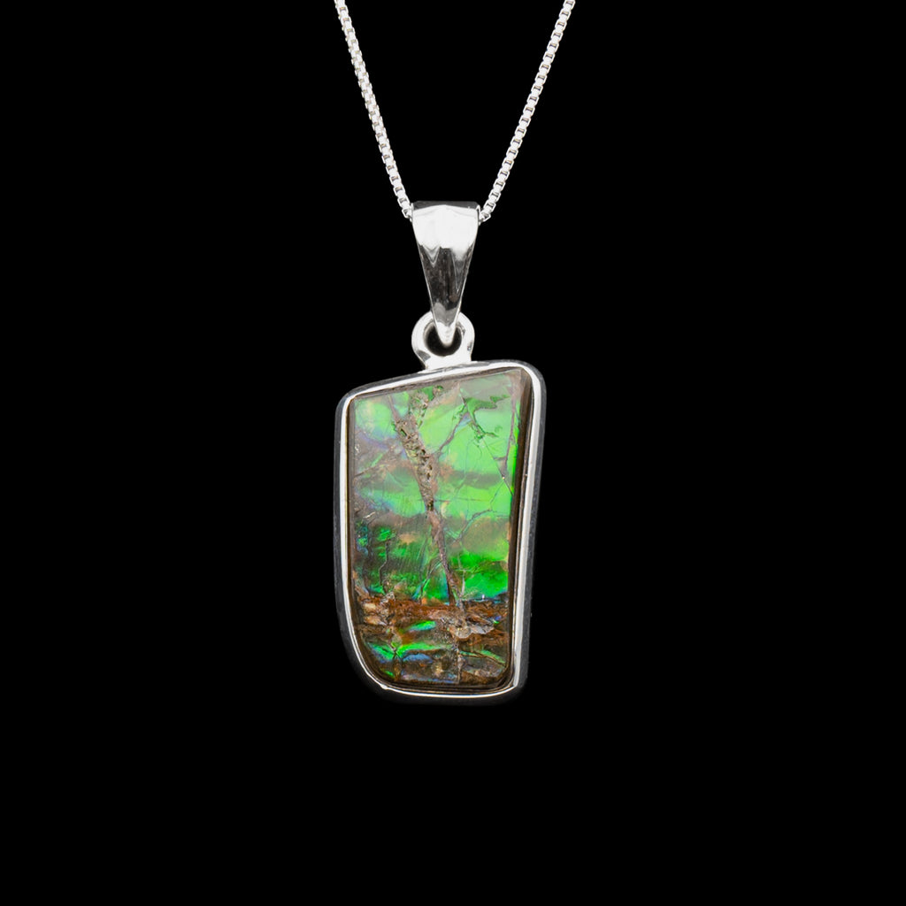 99 and Under Mini Museum