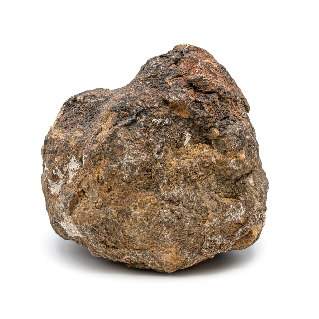 Dinosaur Dung (Coprolite) - SOLD 3.9 LB 14.5" CIRCUMFERENCE