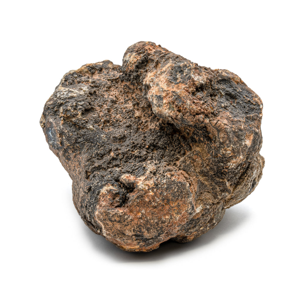 Dinosaur Dung (Coprolite) - SOLD 3.9 LB 14.5" CIRCUMFERENCE