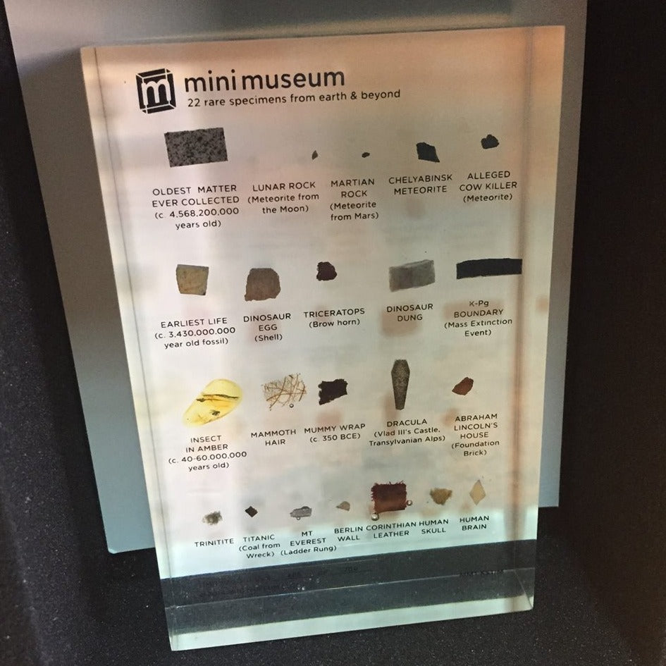Mini Museum - First Edition (MEDIUM - 22 Specimens)