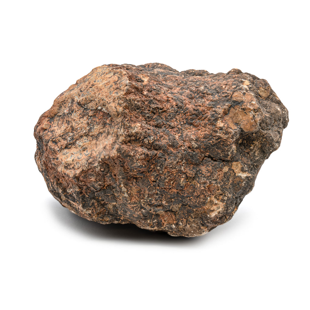 Dinosaur Dung (Coprolite) - SOLD 5.1 LB 16" CIRCUMFERENCE