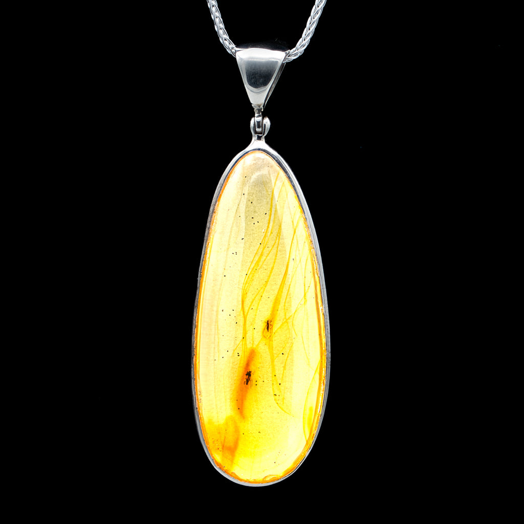 Insect in Amber Necklace - SOLD 1.65" Pendant