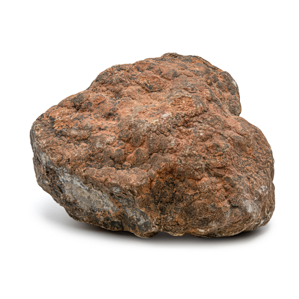 Dinosaur Dung (Coprolite) - SOLD 5.9 LB 17" CIRCUMFERENCE