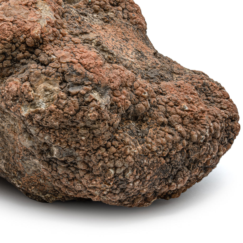 Dinosaur Dung (Coprolite) - SOLD 7.3 LB 18" CIRCUMFERENCE