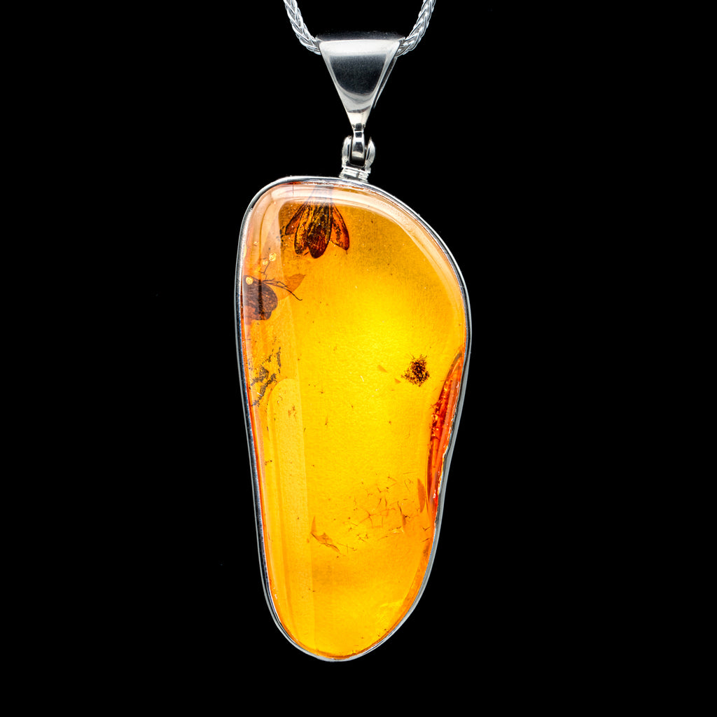 Insect in Amber Necklace - SOLD 1.82" Pendant