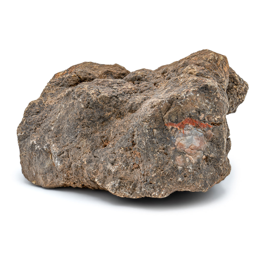 Dinosaur Dung (Coprolite) - 5.1 LB 18" CIRCUMFERENCE