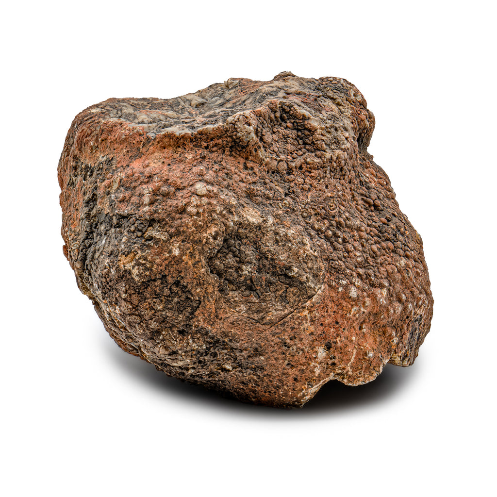 Dinosaur Dung (Coprolite) - SOLD 8.3 LB 19" CIRCUMFERENCE