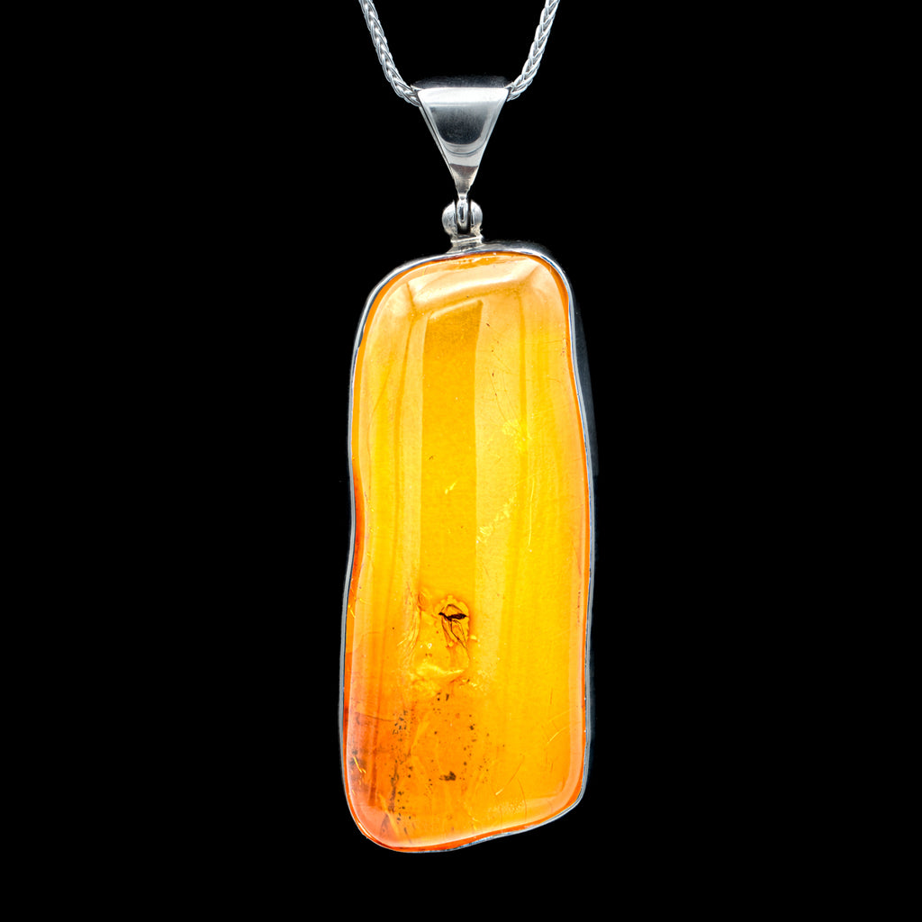 Insect in Amber Necklace - SOLD 2.00" Pendant