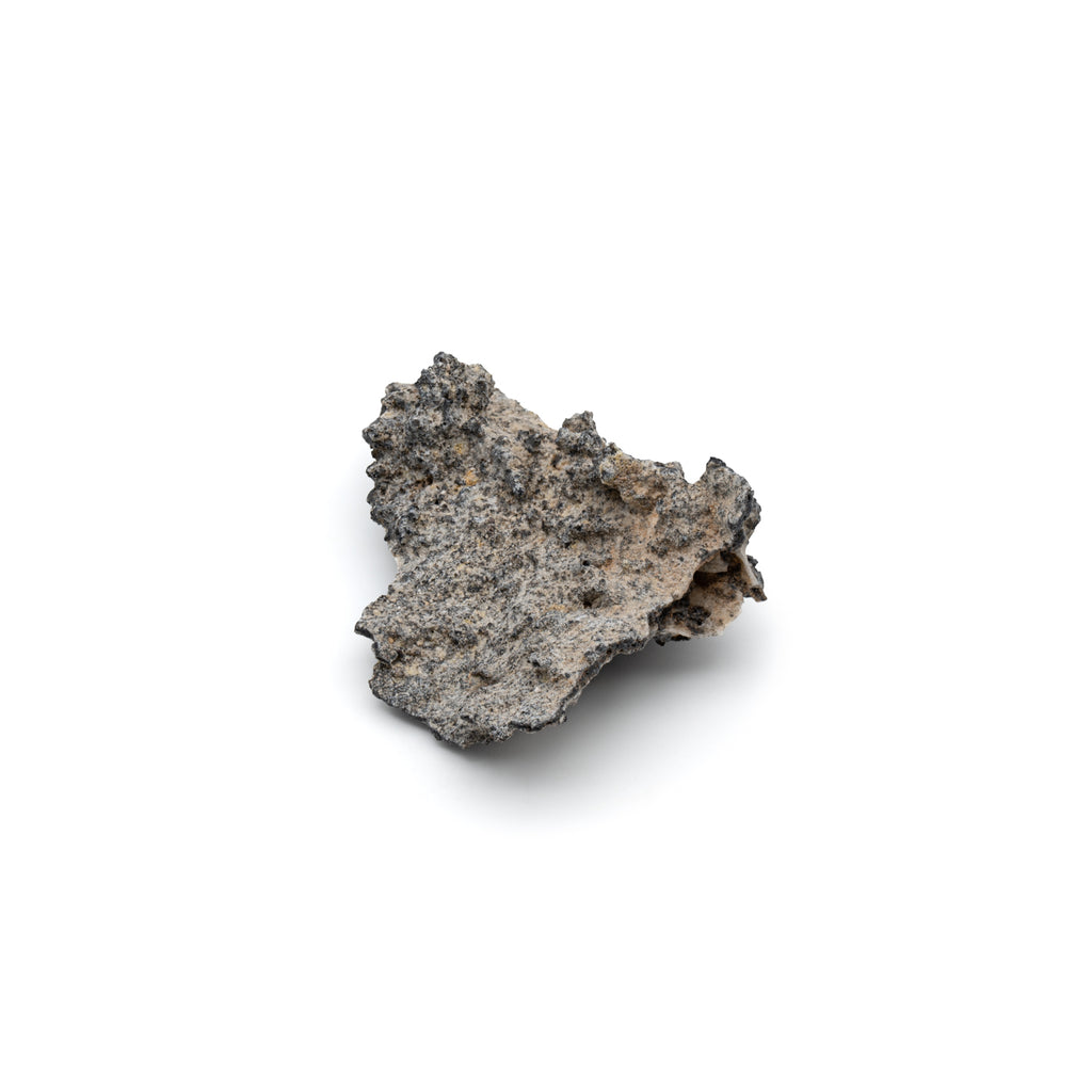 Petrified Lightning - SOLD 2.44" Saharan Fulgurite