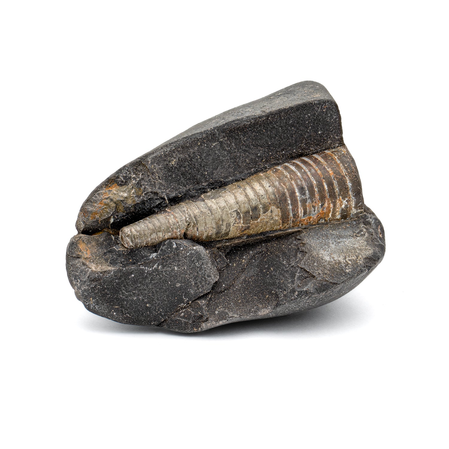 24485TO220907-MAIN-035_1500x.