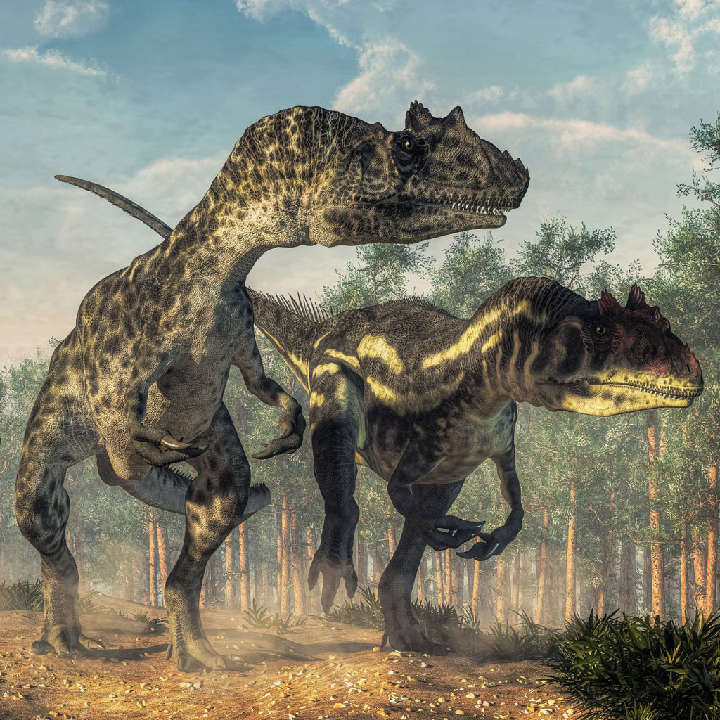 Allosaurus Vertebra