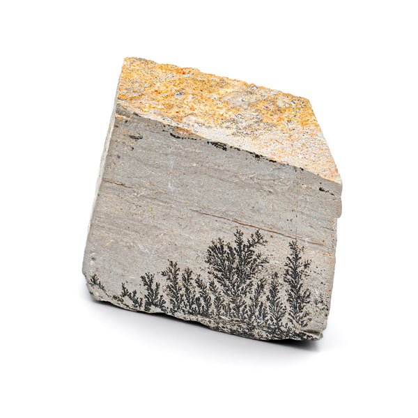 Dendrite Crystal Sandstone 2.97