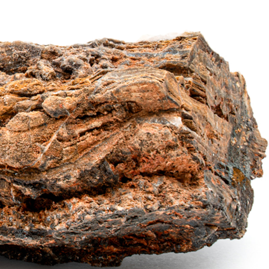 Earliest Life - North Pole Dome Stromatolite - Rough - 3.15"
