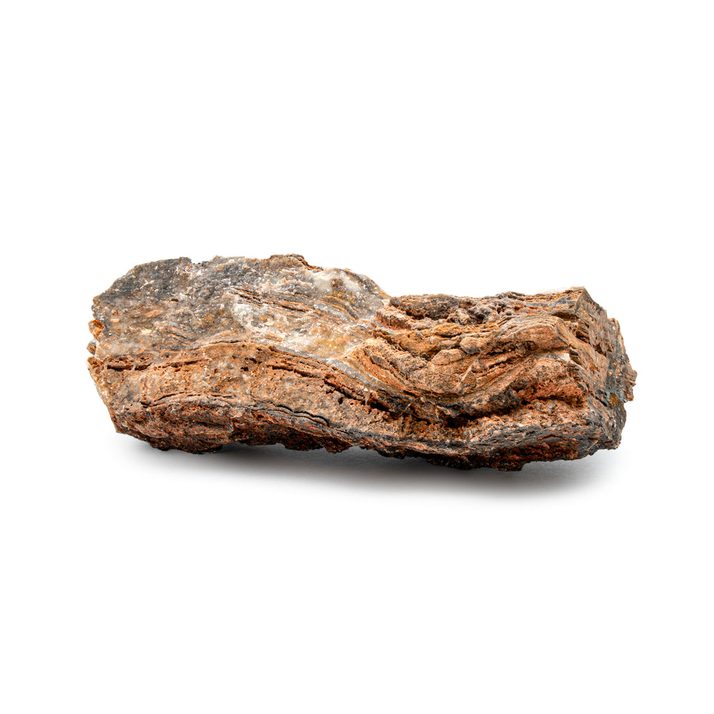 Earliest Life - North Pole Dome Stromatolite - Rough - 3.15"