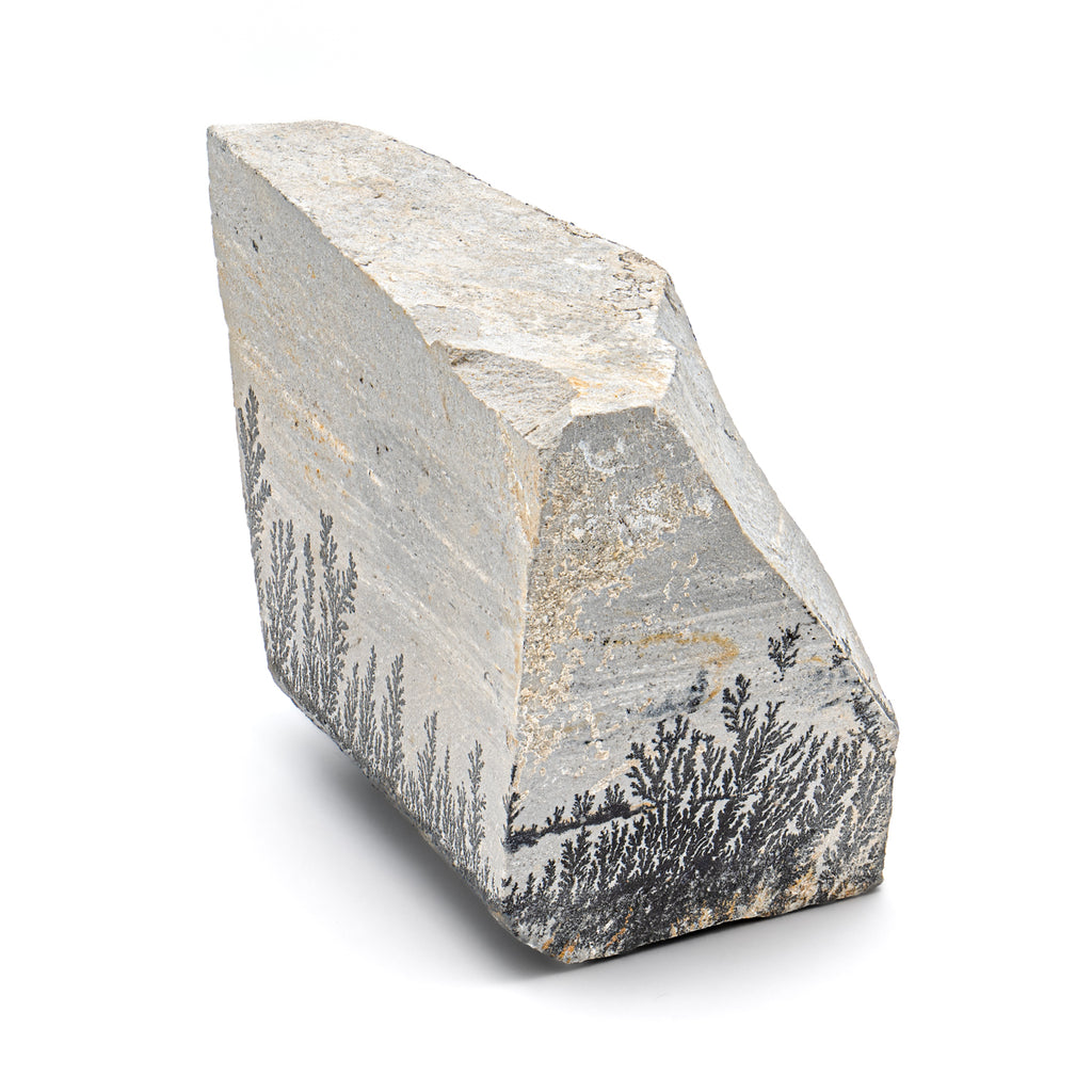Dendrite Crystal Sandstone - SOLD 3.29"