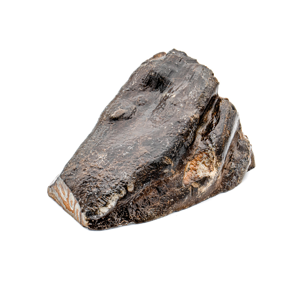 Woolly Mammoth Tooth - SOLD 3.68" Polished Slab - Alaskan