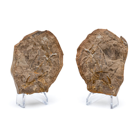 【やま】Creek MTCW EVOⅡ 2025年最新】クリークEVOの人気アイテム - メルカリ