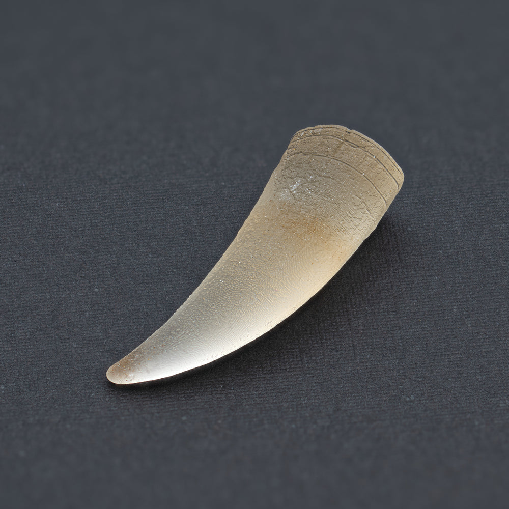 Tyrant King Pocket Fossil: 3D Printed Tyrannosaurus Rex Tooth Made with Real Fossil Material