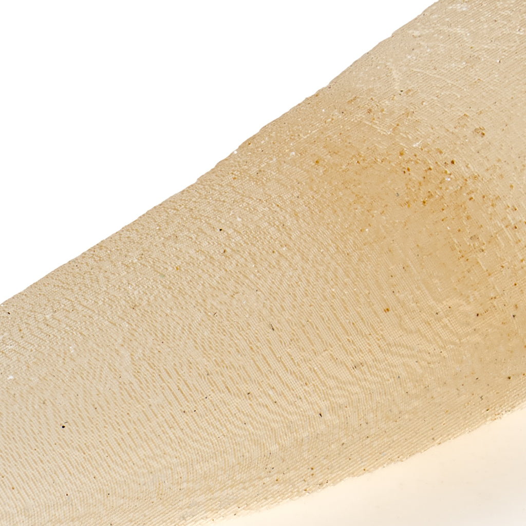 Tyrant King Pocket Fossil: 3D Printed Tyrannosaurus Rex Tooth Made with ...