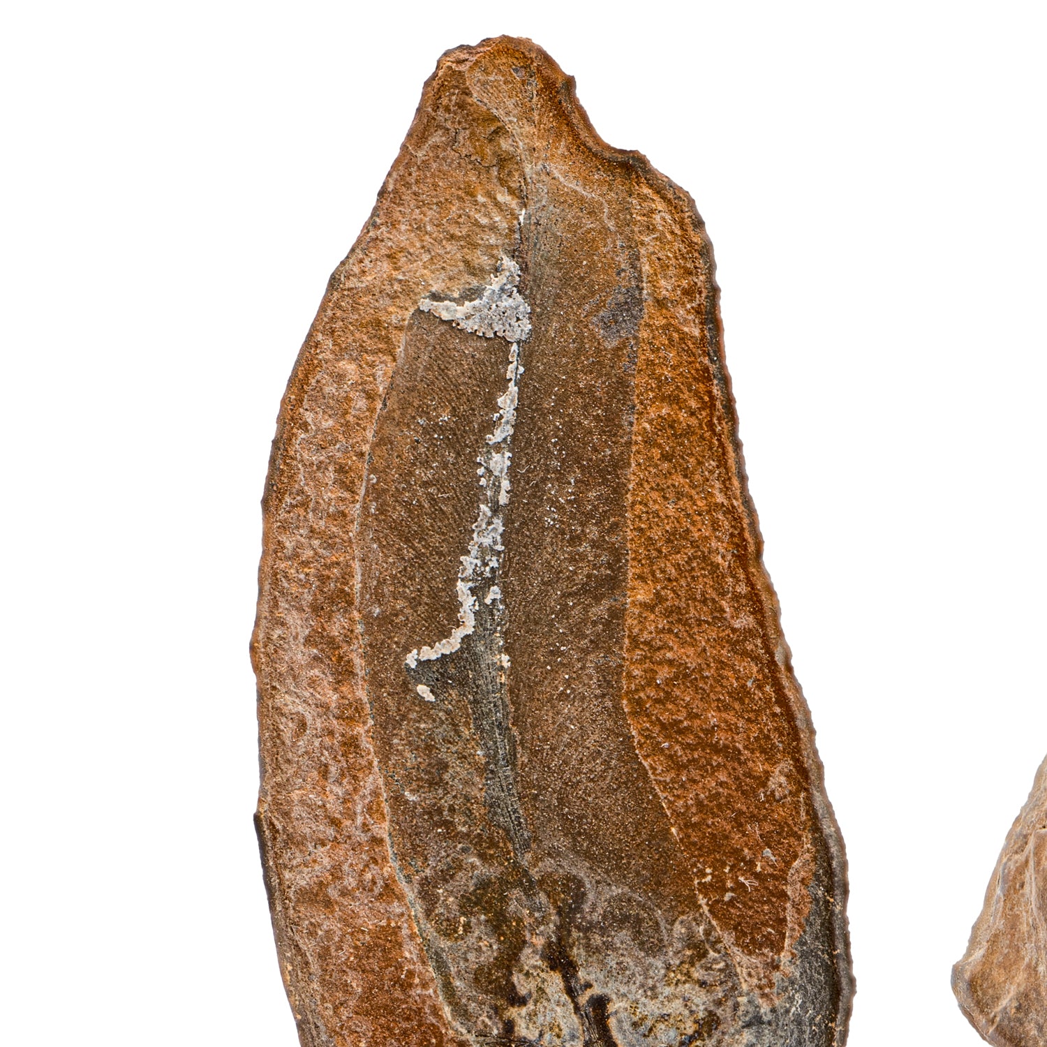 プレストマン 48580MCP221027-MAIN-002_1500x.