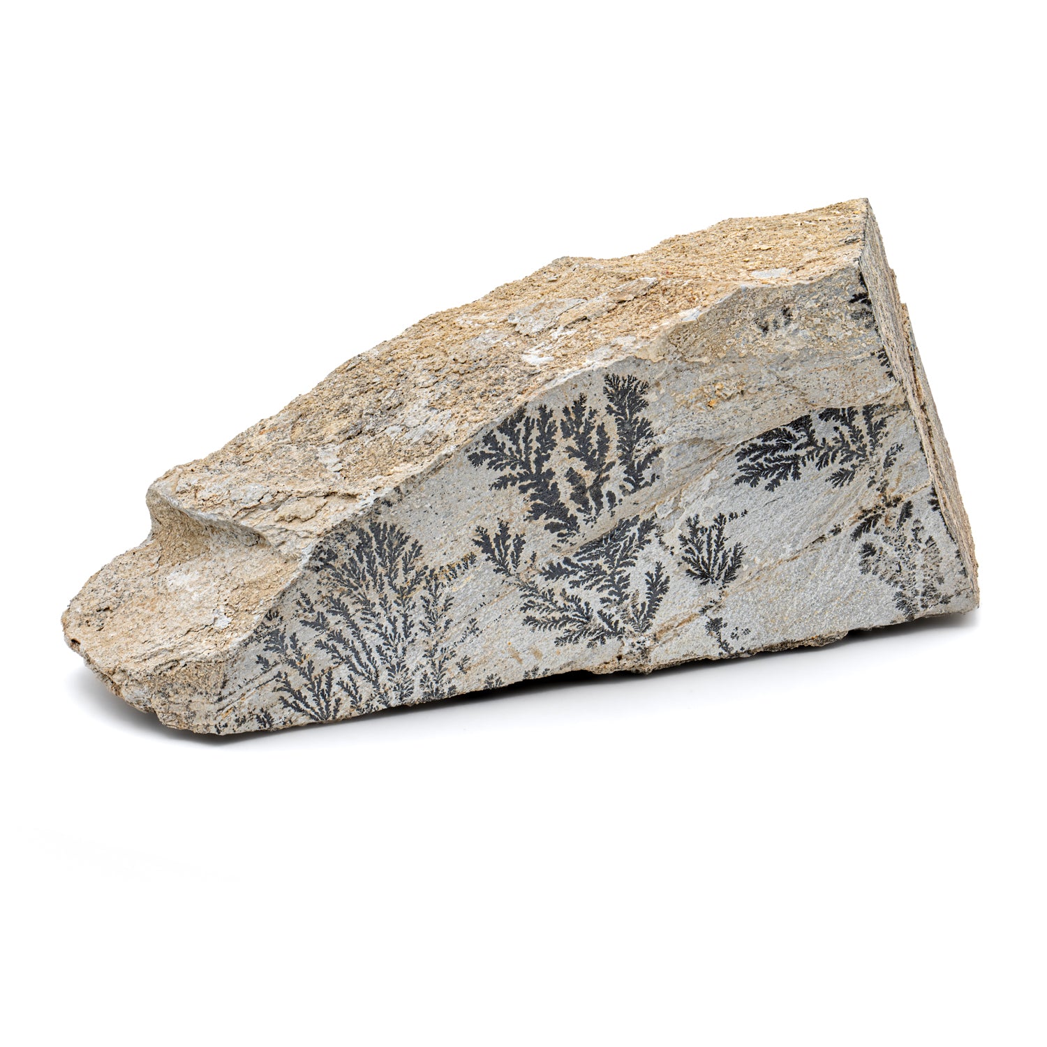 【ブラジル】デンドライト石板額　花草化石　DENDRITOS DO BRAZIL Dendrite Crystal Sandstone 5.23