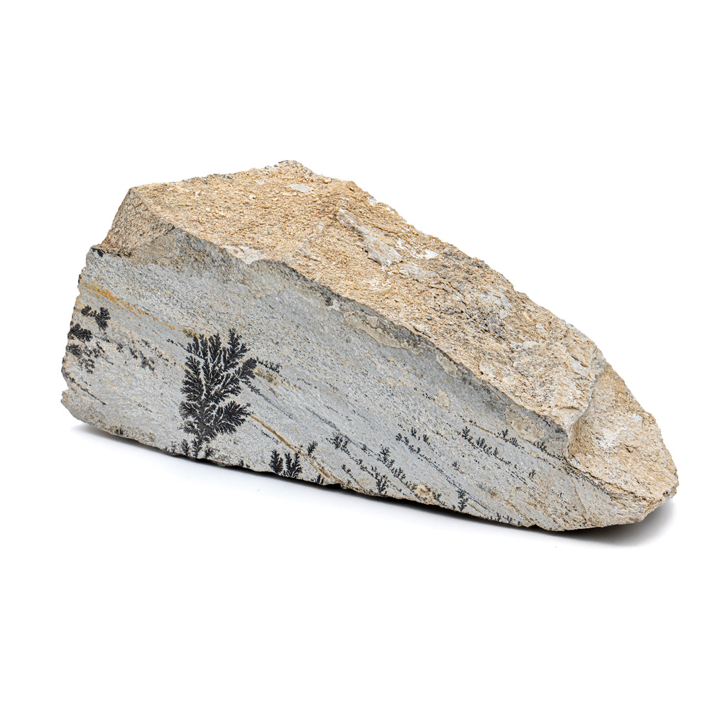 Dendrite Crystal Sandstone - 5.23"
