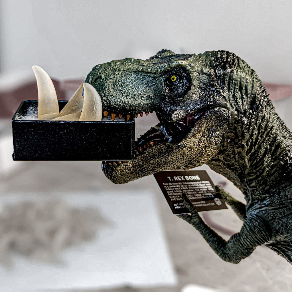 Tyrant King Pocket Fossil: 3D Printed Tyrannosaurus Rex Tooth Made with Real Fossil Material