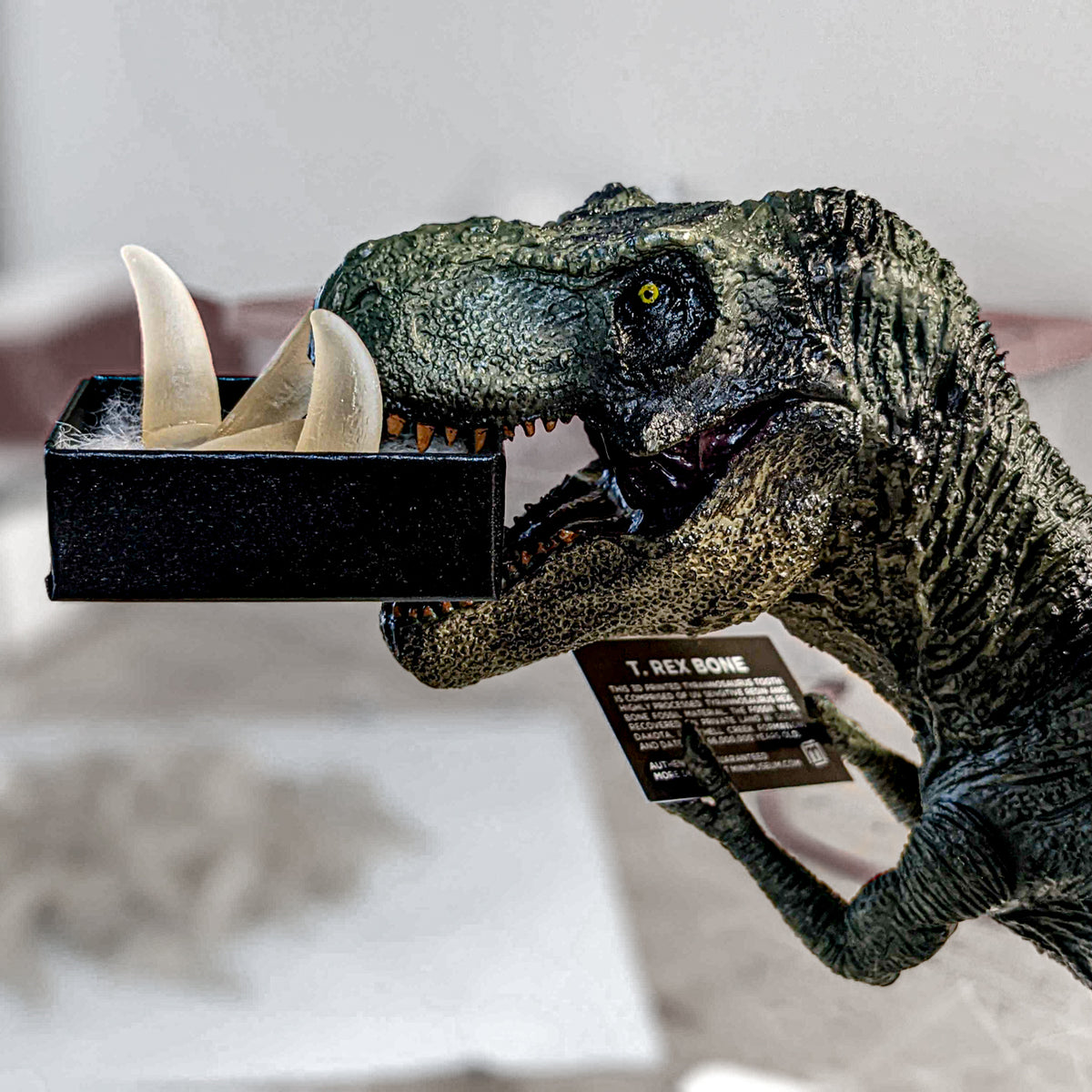 Tyrant King Pocket Fossil: 3D Printed Tyrannosaurus Rex Tooth Made with ...