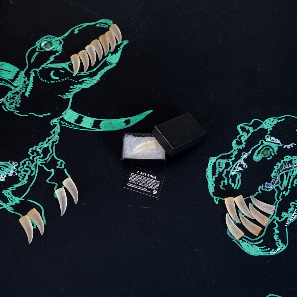 3D Printed Tyrannosaurus Rex Tooth